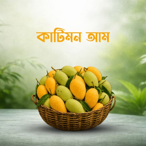 Katimon2 কাটিমন আম