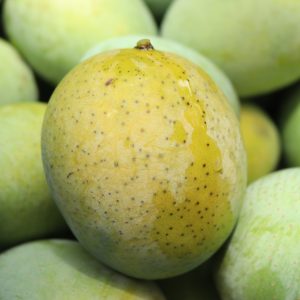 langra-mango